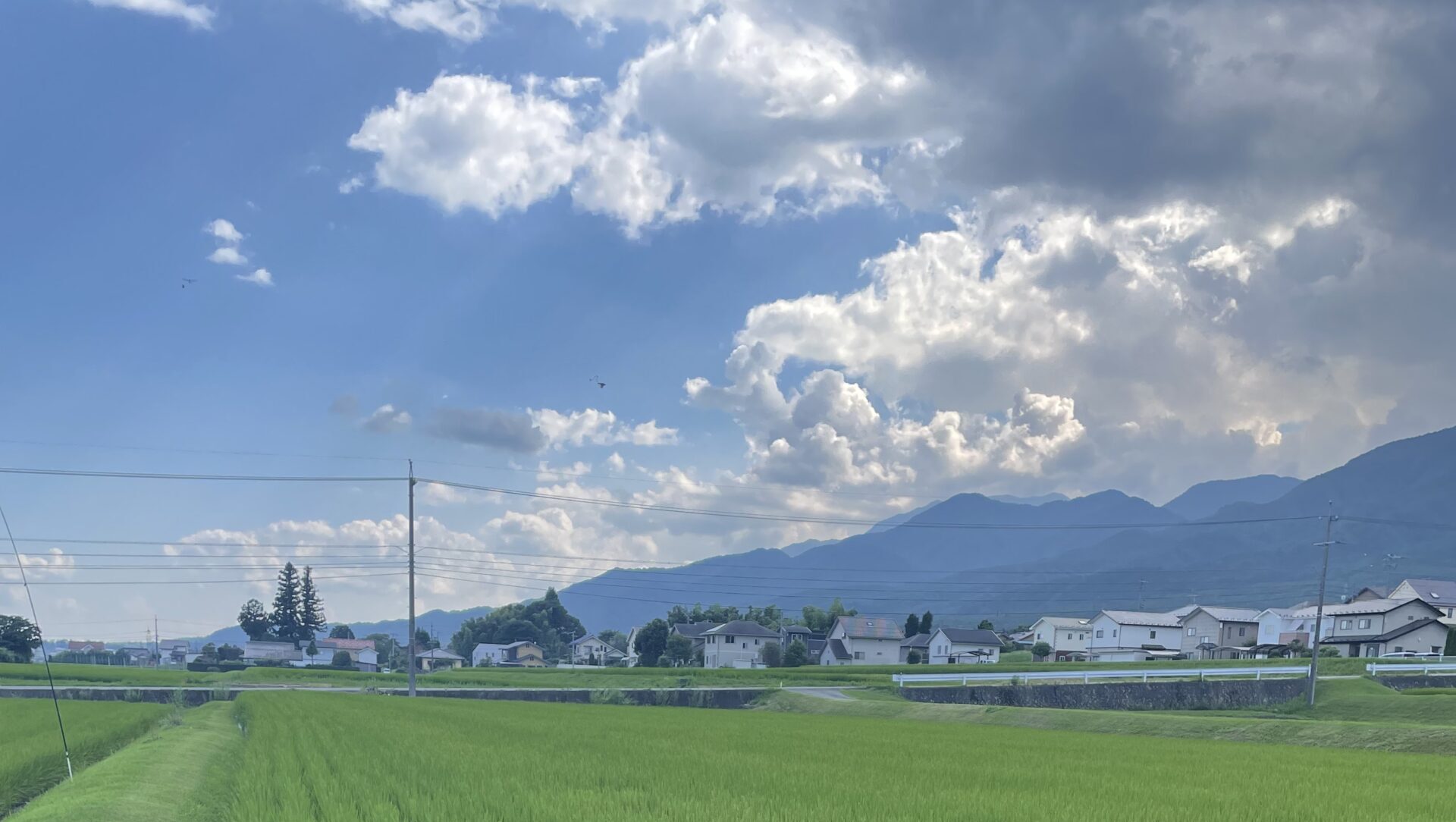 アグリビジネス　農業　青空と田んぼ