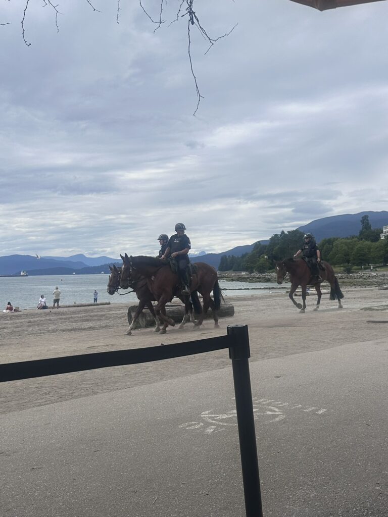 スタンレーパーク　馬　海岸　