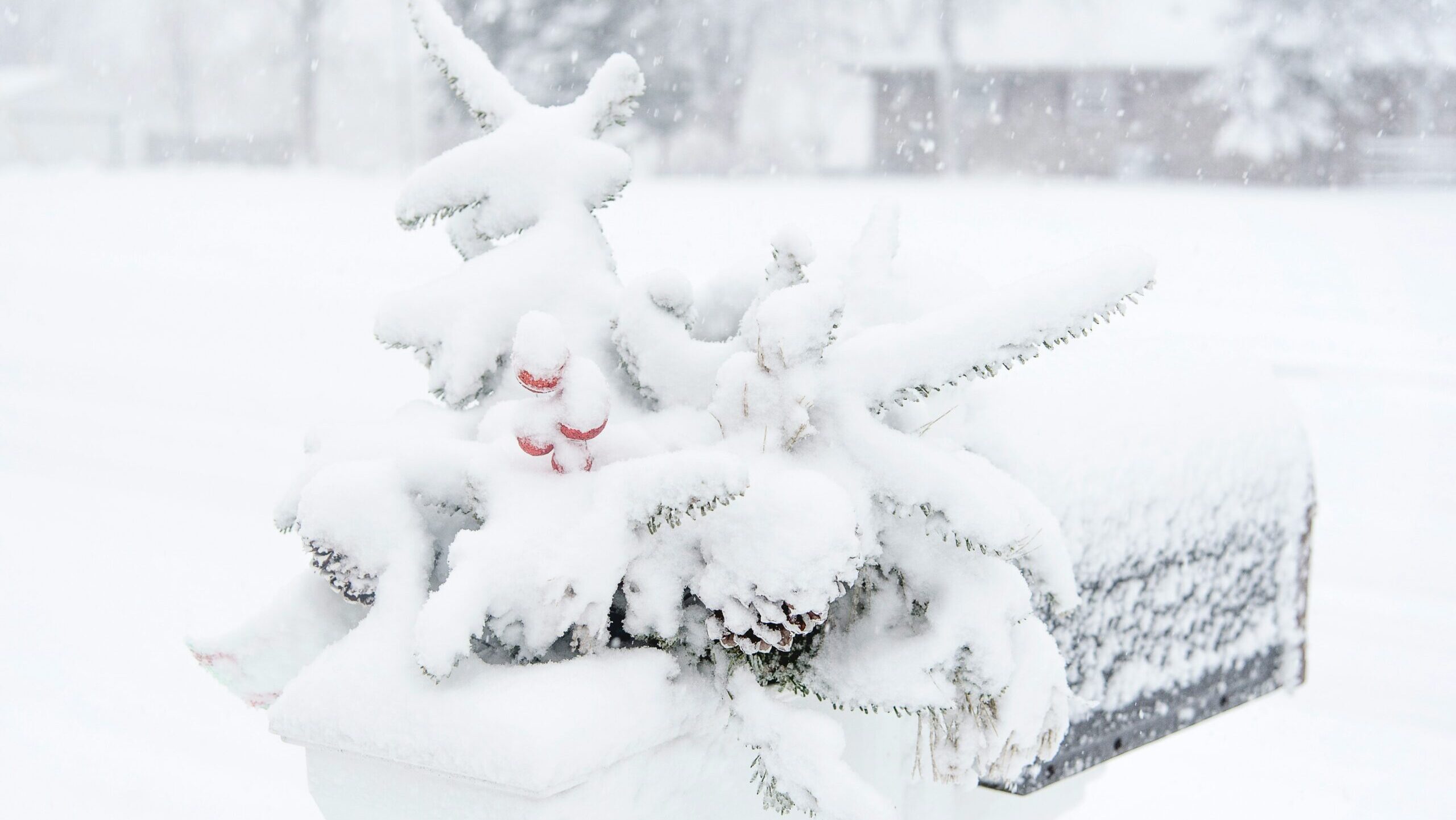 ウィニペグのブリザードの様子